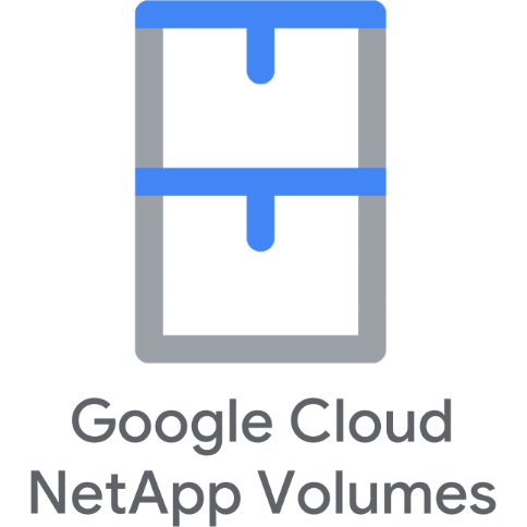 Google Cloud NetApp Volumes