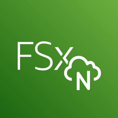 NetApp FSx ONTAP